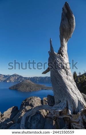 Lone tree trunk over Crater Lake, the deepest lake in the U.S.A., part of the Cascade Range, Oregon, United States of America, North America