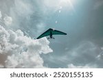 A lone ultralight aircraft soars gracefully under a vast, cloudy sky, illuminated by soft sunlight and flares of light, capturing the freedom of flight in an expansive, serene atmosphere