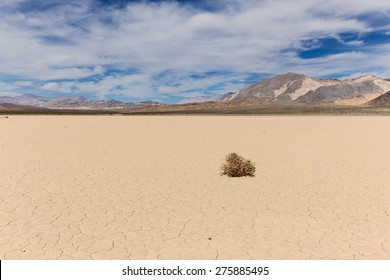 Lone Weed On Dry Lake Bed In Mojave Desert With Cracked Mud On A Lake Floor, Blue Sky, Clouds And Mountains. Racetrack Playa. Death Valley National Park. California. USA. 