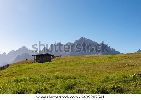 Lone wild black horse next to wooden hut grazing on alpine meadow with scenic view of Sextner Rotwand, Sexten Dolomites, South Tyrol. Idyllic landscape on Klammbachalm (Malga Klammbach), Italian Alps
