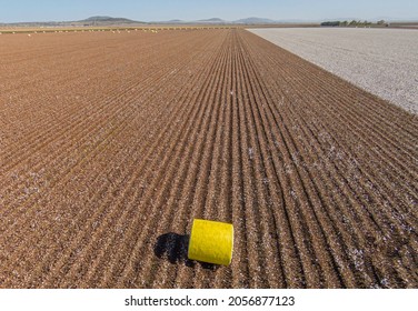 A lone yellow cotton bail in a harvested paddock.