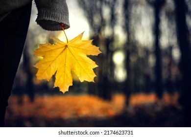 Loneliness In The Evening Autumn Park, Parting And Seasonal Depression.