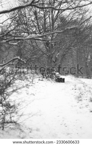 Lonely blur bench between winter park