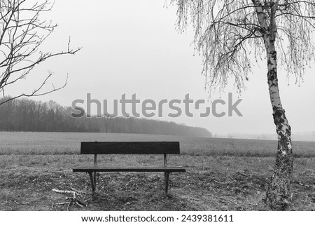 Lonely bench in the landscape, in the foreground are two trees with bare branches and field, in the background is a forest and foggy heaven, black and white photo