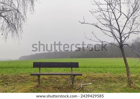 Lonely bench in the landscape, in the foreground are two trees with bare branches and green field, in the background is a forest and foggy heaven, color photo