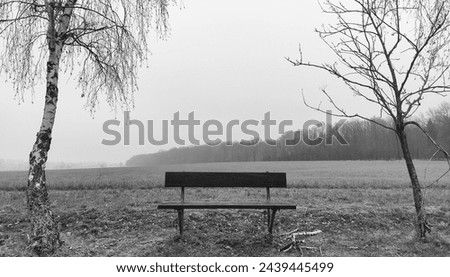 Lonely bench in the landscape, in the foreground are two trees with bare branches and field, in the background is a forest and foggy heaven, black and white photography