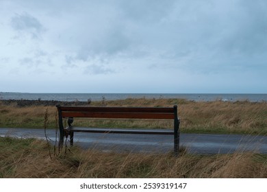 Lonely bench looking at the sea, cloudy overcast sky, sea, ocean below. Icelandic northern vibe, fishing country, coastal side. No people visible, only nature, wildlife, arctic flora. - Powered by Shutterstock