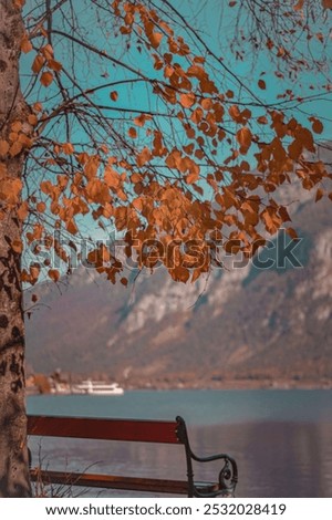 A lonely bench next to an orange tree infront of a lake.