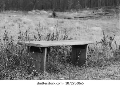 A Lonely Bench At Rockefeller State Park