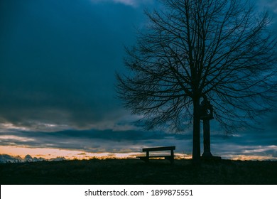 lonely bench in silhouette. empty bench at sunset. silhouette of a bench under a tree on a hill at sunset - Powered by Shutterstock