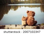 Lonely brown teddy bear hugs fluffy stuffed toy bunny sitting on fallen birch tree trunk near tranquil river on autumn day backside view