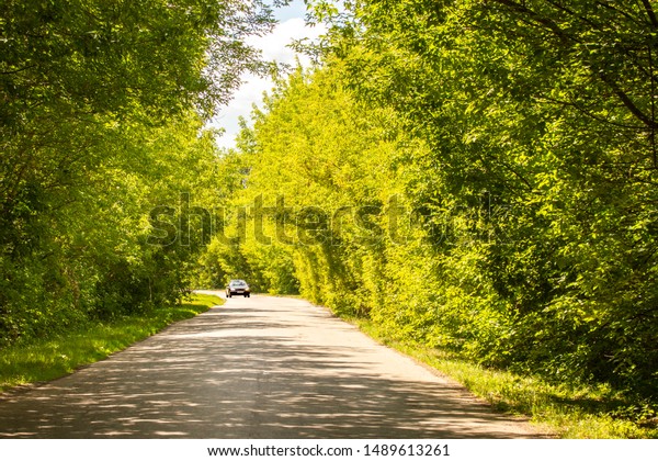 Lonely\
car under the canopy of green foliage of deciduous trees, bright\
sunny summer day, horizontal landscape, rural\
road