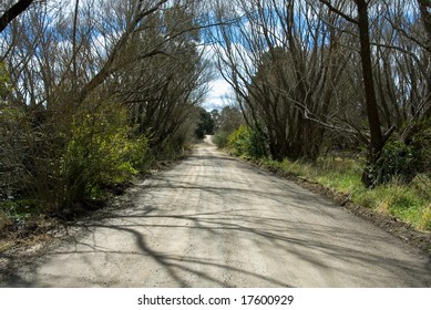 A Lonely Country Lane, Near Moss Vale, New South Wales, Australia