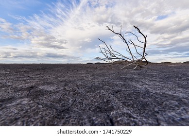 荒地 の画像 写真素材 ベクター画像 Shutterstock