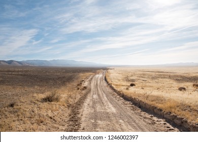 A lonely dirt road in Utah’s west desert with blue skies, yellow grass and distant mountains