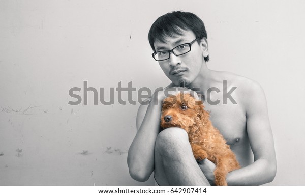 Lonely Dog Light Brown Hair Color Stock Photo Edit Now