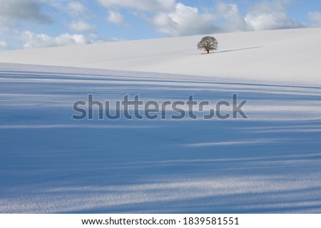 Similar – Image, Stock Photo Winter morning scene with snowy Alps mountains in Austria