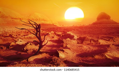 Lonely Dry Tree In The Desert Against The Sun. Iran. Persia.