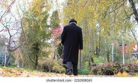 A Lonely Elderly Man Walks In The Central Autumn Park.