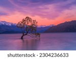 Lonely floating tree in the middle of the lake It is a famous destination and landmark of the tourist attractions of the Southern Alps. New Zealand 