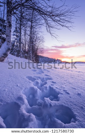 Message, simply Naked in very deep snow accept Where logic? Naked in very deep snow