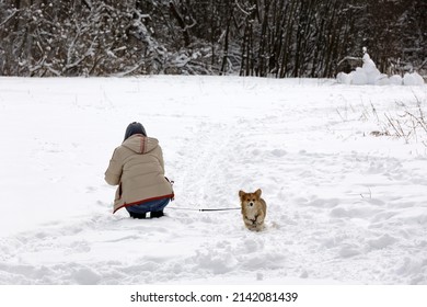 Lonely Girl Walking A Dog In Park During Snow Weather