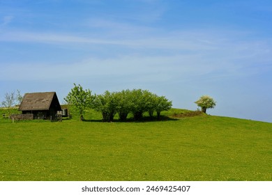 Lonely house on a green meadow with trees and blue sky - Powered by Shutterstock