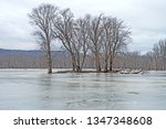 Lonely Island in a Frozen Bayou on The MIssissippi River in Wyalusing State Park in Wisconsin