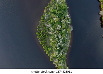 Lonely Island In The Middle Of The Tomoka River