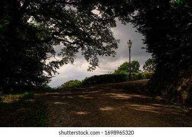 Lonely Lamp In The Park On The Uetliberg Mountain,