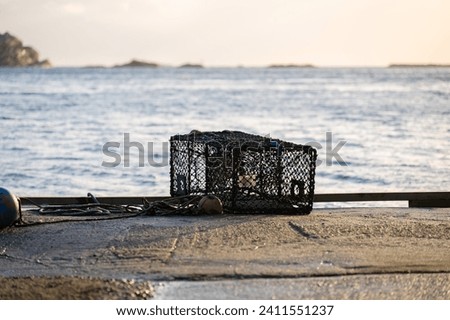 Lonely lobster pot by the sea.