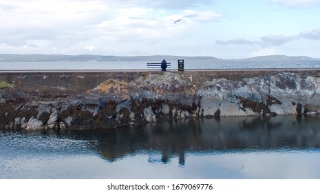 Lonely Man Alone On A Bench With Seagull Next To The Coast, Northern Ireland