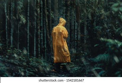 Lonely Man Lost In The Woods 