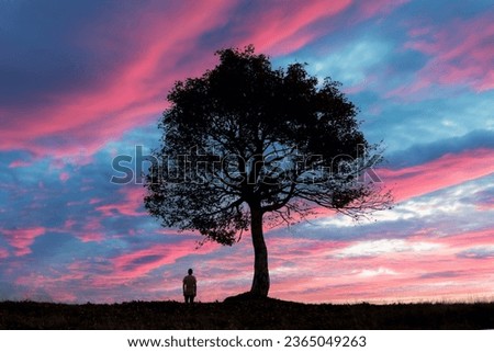 Lonely man near the big old tree at evening field during sunset. Dramatic colorful scene with cloudy purple sky. Religion concept