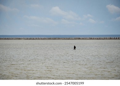 Lonely man walks across Lake Baskunchak in cloudy weather, Astrakhan region of Russia - Powered by Shutterstock