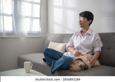 Lonely Middle Aged Mature Grey Haired Asian Woman And A Dog In The Morning, Old Lady Posing At Home Indoor, Single Senior Retired Female Sitting On Sofa In Living Room.