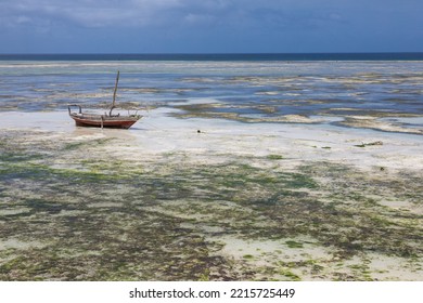 Lonely Old Fishing Boat On The Shallows. The Water Has Gone Too Far. The Open Bottom Of The Ocean. Green Algae And Stones. Beautiful Landscape. Ocean View.