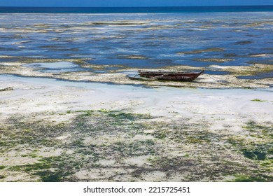 Lonely Old Fishing Boat On The Shallows. The Water Has Gone Too Far. The Open Bottom Of The Ocean. Green Algae And Stones. Beautiful Landscape. Ocean View.