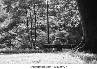 Lonely Old Man Sitting On The Bench In The Park, Garden