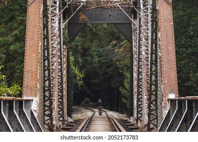 Lonely Old Man Walking His Dog Across The Bridge Into The Wilderness In Northern California Redwoods