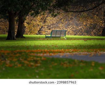 A lonely parkbench in a national park