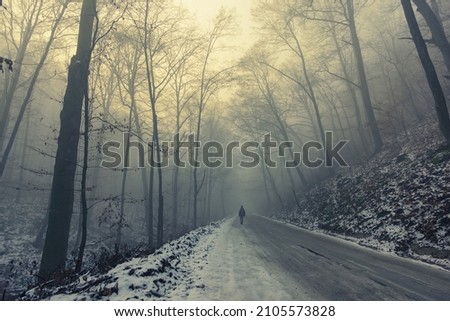 A lonely person walks into the fog along a snowy road. A dark winter forest rises all around. Scary mood