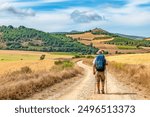 Lonely Pilgrim with backpack walking the Camino de Santiago in Spain, Way of St James