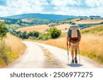 Lonely Pilgrim with backpack walking the Camino de Santiago in Spain, Way of St James