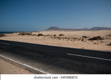 
Lonely Road In A Desert Area