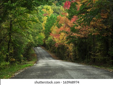 Lonely Road in Fall
