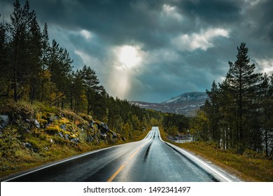 Lonely road into new adventures in northern norway at rainy weather in Nordland region