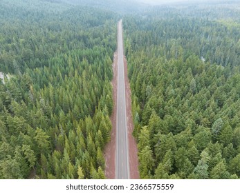 A lonely road leads through a seemingly endless forest in the Pacific Northwest. - Shutterstock ID 2366575559
