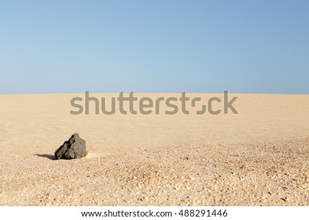 Similar – Image, Stock Photo red starfish on the beach