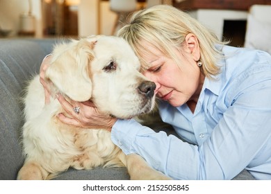 Lonely And Sad Old Woman With A Retriever Dog At Home For Companionship And Friendship